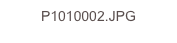 P1010002.JPG